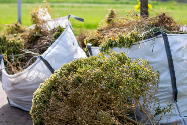 Best Local Junk Hauling  in Northfield, MN